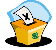 Cover photo for 4-H County Council Officer Nomination Application