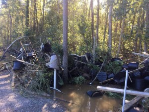 Cover photo for NC Green Industry Hurricane Matthew Recovery Resources