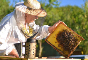 Cover photo for Wilson County Beekeepers Bee School