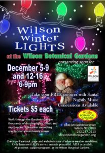 Cover photo for Wilson Winter Lights