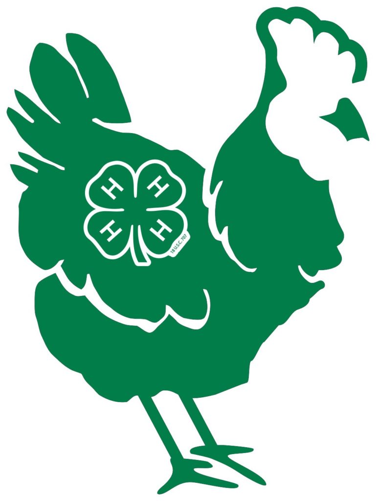 4-H Logo on a green chicken