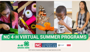 Cover photo for NC 4-H Virtual Summer Programs