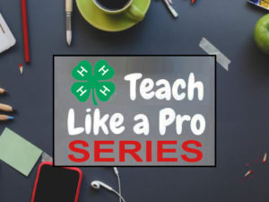 Cover photo for Join Us for Teach Like a Pro Series