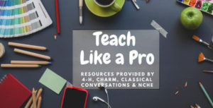 Cover photo for Teach Like a Pro