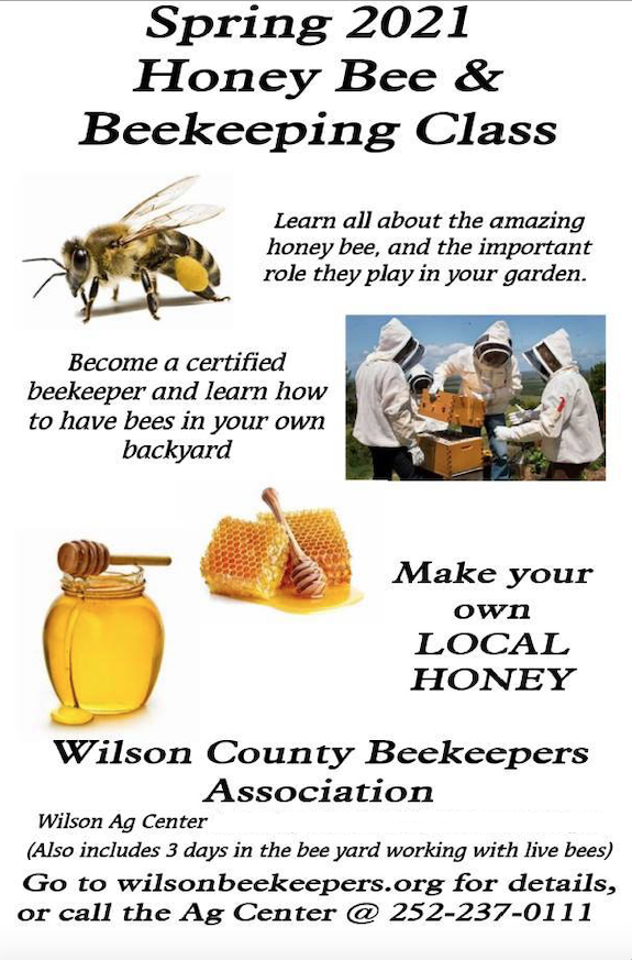 Bee, beekeepers, and honey