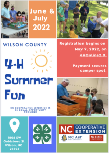 A flyer for Wilson County's 4-H Summer Fun. 
