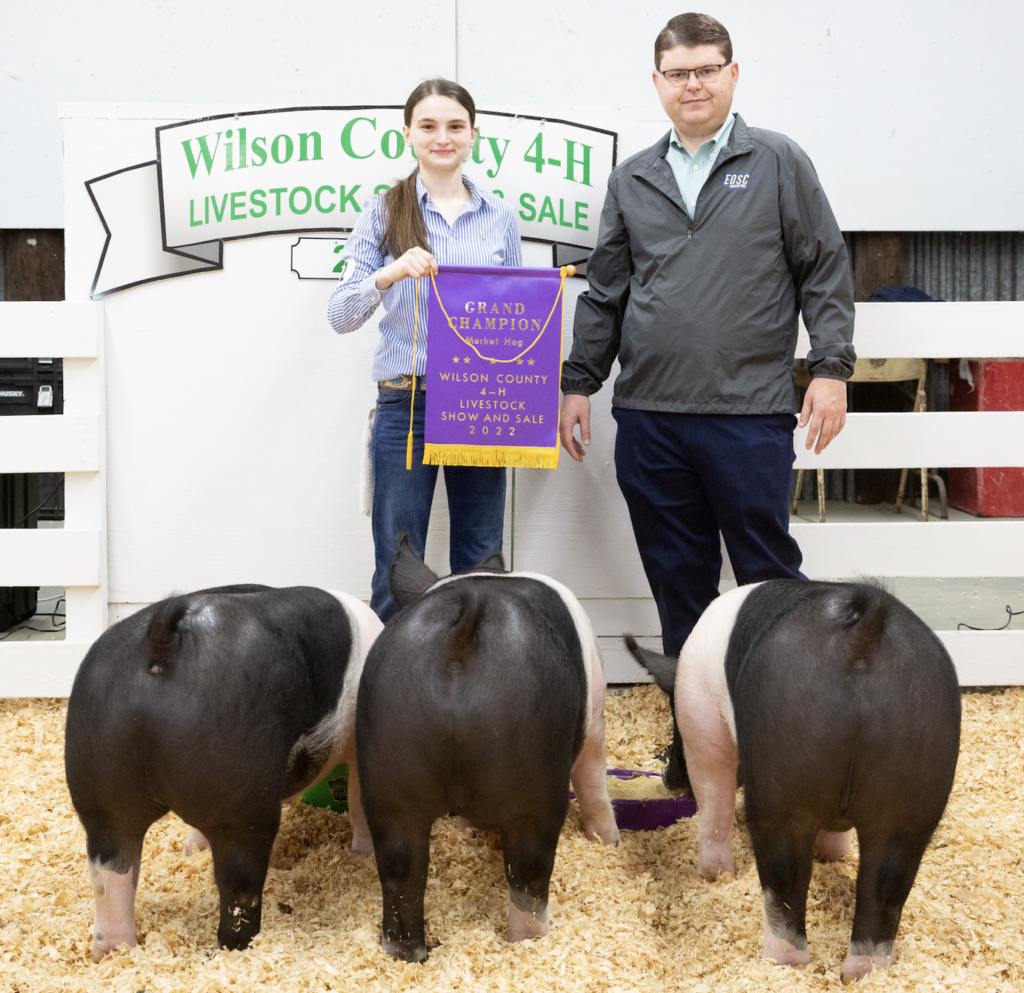 An adult and child stand behind three pigs in a ring. The child holds a grand champion banner.