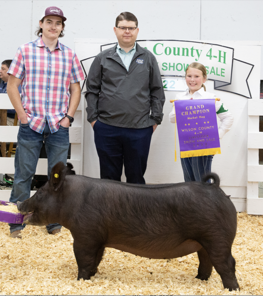 Two adults and a child stand behind a pig in a ring. The child is holding a grand champion banner.
