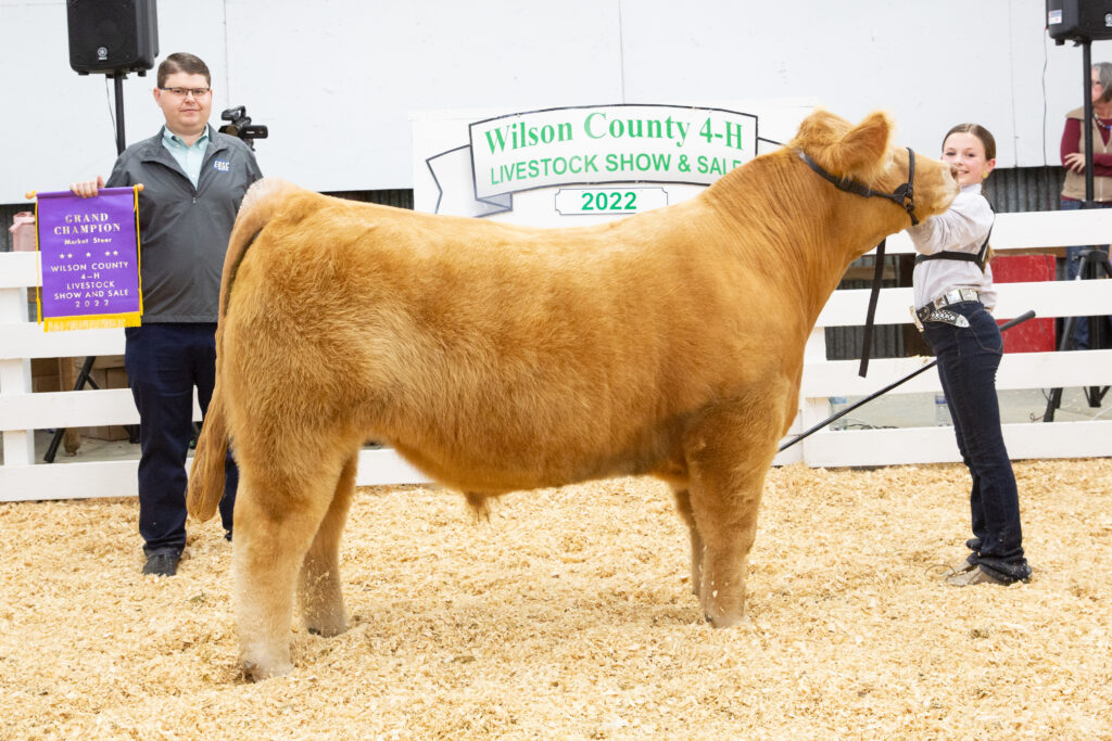 A girl poses with a shaggy cow. A man behind them holds a banner with the words Grand Champion written on it.