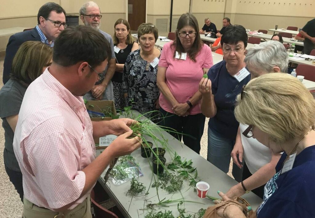 A group of Extension Master Gardener volunteers inspect a table with plant specimens.