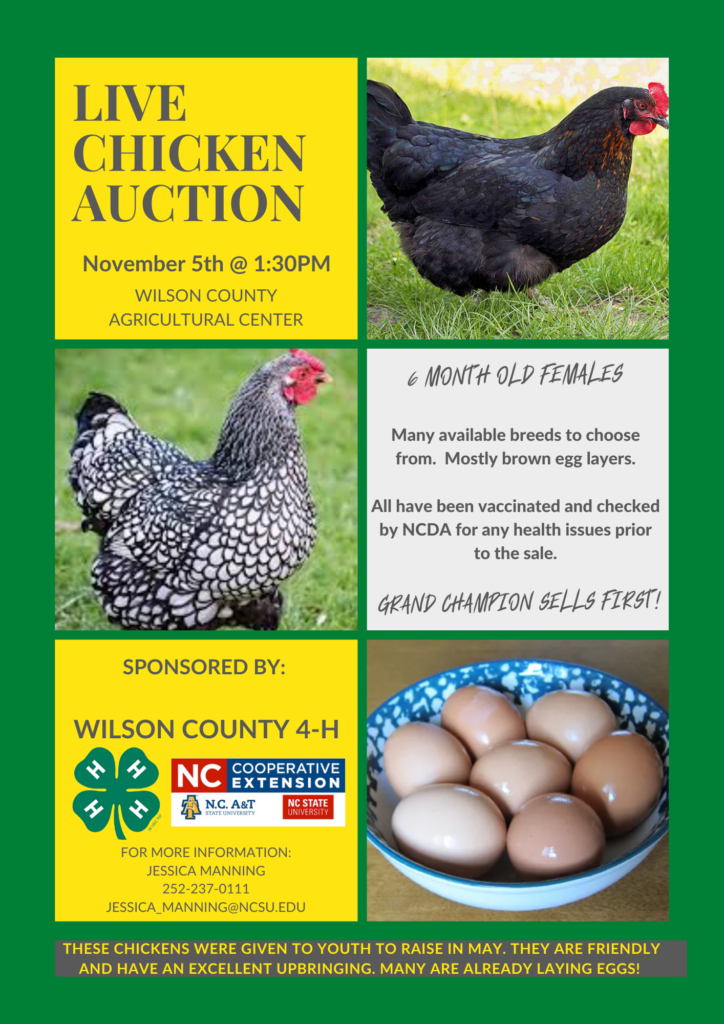 Live Chicken Auction, November 5th @ 1:30 p.m., Wilson County Agricultural Center