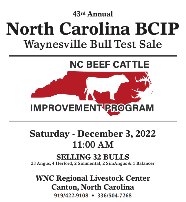 43rd Annual Waynesville Bull Test Sale Catalog | North Carolina Cooperative  Extension