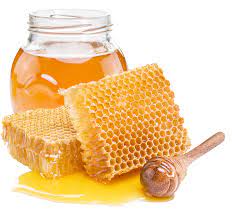 Cover photo for How to Use and Clean a Honey Extractor