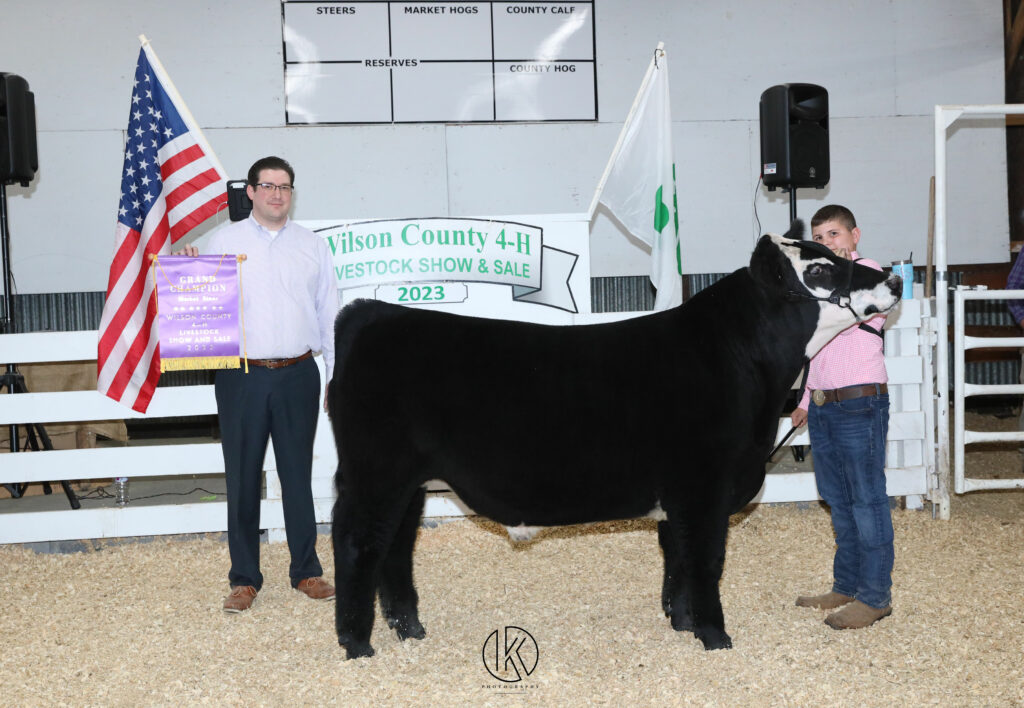 A child poses with a cow and grand champion banner.