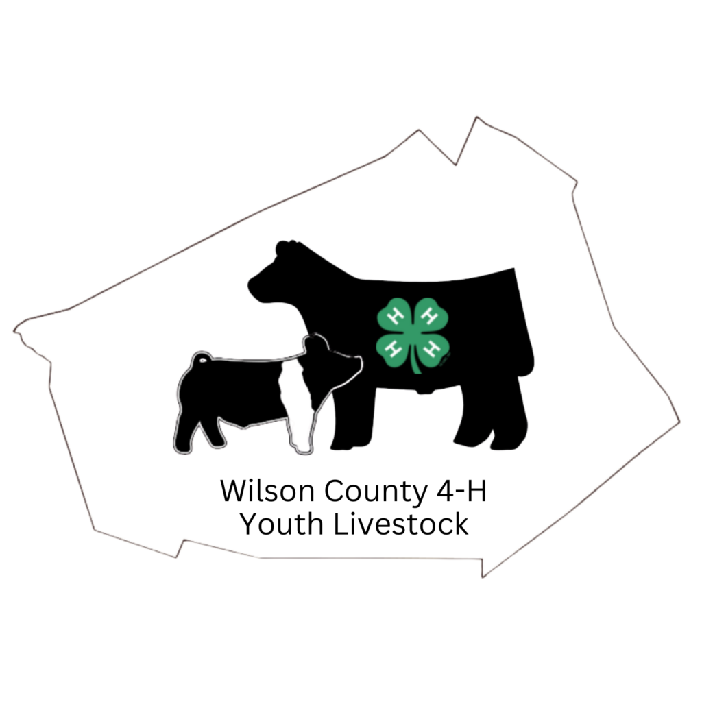 2024 Wilson County 4H Livestock Show & Sale N.C. Cooperative Extension