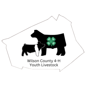 Cover photo for 2024 Wilson County 4-H Livestock Show & Sale