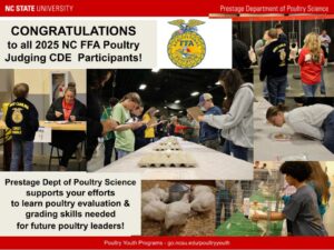 collage of FFA Poultry Judging photos